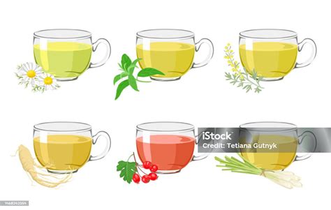 Ilustración de diferentes infusiones de alcachofa