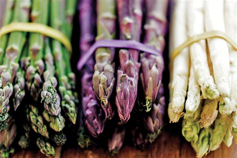 Infografía comparativa de las diferentes variedades de espárragos (blanco, verde, morado, silvestre), destacando sus características visuales y nutricionales.