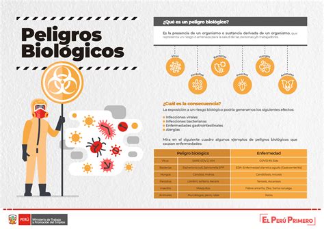 Infografía sobre los tipos de peligros biológicos en productos pesqueros: bacterias, parásitos y toxinas.