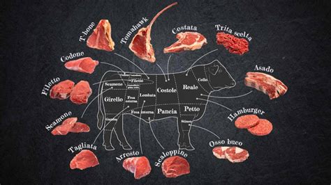 Infografía o esquema con diferentes tipos de carnes y tubérculos para guisos