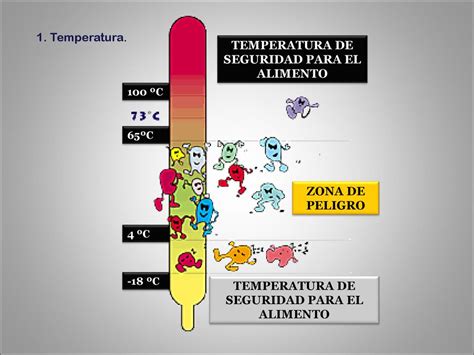 infografía sobre la zona de peligro de los alimentos y el crecimiento bacteriano
