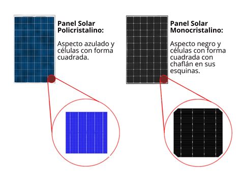 Comparativa visual de paneles solares monocristalinos (negros, esquinas cortadas) y policristalinos (azules, rectangulares).