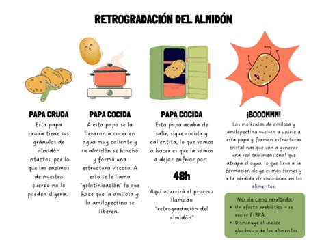 Infografía: Proceso de retrogradación del almidón en patatas cocidas y refrigeradas