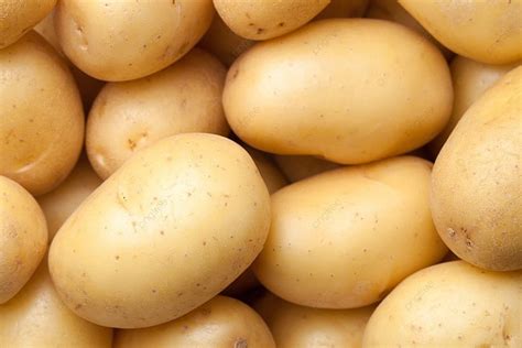 Foto de patatas crudas almacenadas en una despensa oscura y fresca