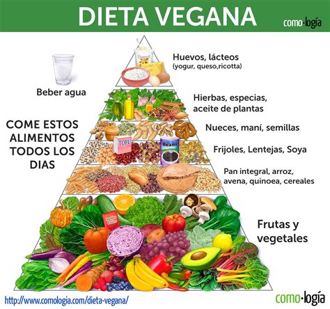 Esquema de nutrientes esenciales para una dieta vegana
