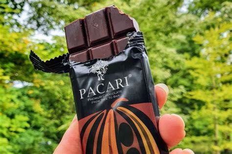 Variedad de tabletas de chocolate Pacari oscuro y con sabores