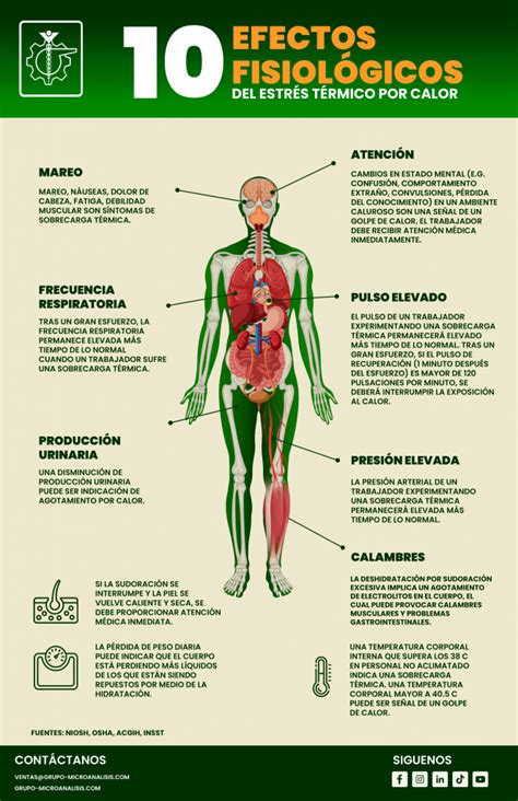 Infografía sobre factores fisiológicos que afectan la libido masculina