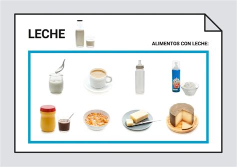 Esquema etimológico de la palabra 