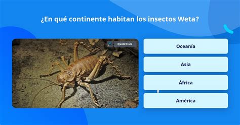 Infografía detallada del weta gigante, mostrando sus poderosas patas, antenas y mandíbulas