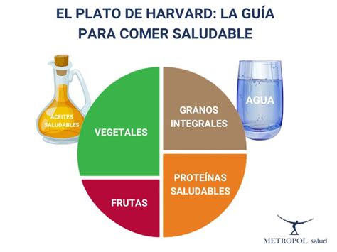 Plato para Comer Saludable de Harvard, con proporciones de vegetales, proteínas e hidratos de carbono.
