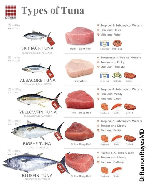 Esquema: Niveles de mercurio en diferentes tipos de atún y recomendaciones de consumo