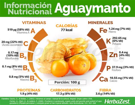 Infografía sobre las propiedades nutricionales del aguaymanto