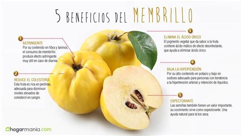 Infografía detallando los nutrientes del membrillo y sus beneficios