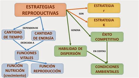Esquema de estrategia reproductiva para bajo grilse en salmón