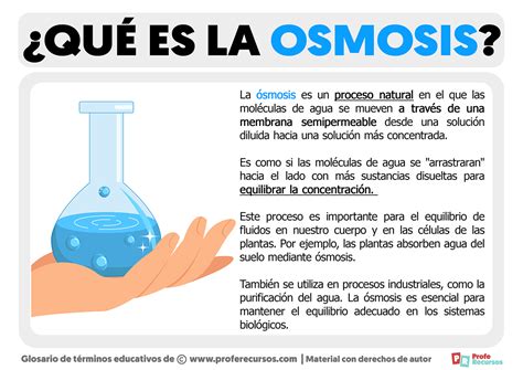 infografía explicando el proceso de ósmosis en las hojas de lechuga al ser aliñadas con sal