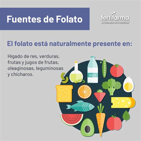 Infografía comparativa de fuentes naturales y fortificadas de folato.