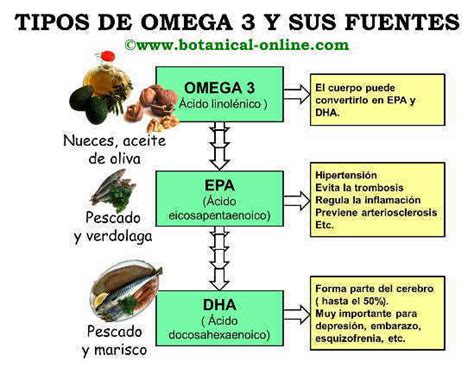Infografía comparativa de fuentes vegetales de Omega-3 (semillas de lino, chía, nueces, aceites)