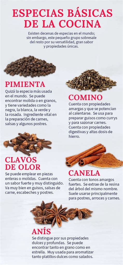 Diferentes tipos de especias y aditivos utilizados en el procesamiento de la carne
