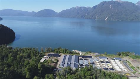 Vista aérea del Fiordo de Aysén con las instalaciones de la Piscicultura Fiordo Aysén de Mowi al fondo.