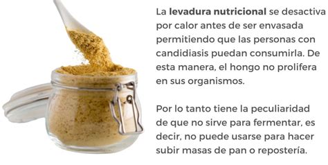 Ilustración de polvo de levadura de cerveza como suplemento nutricional.