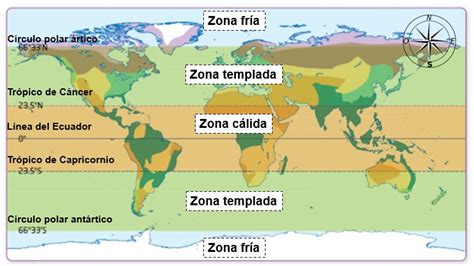 Esquema de las diferentes zonas del seno donde pueden aparecer erupciones