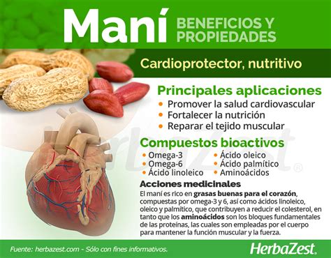 Infografía sobre los beneficios nutricionales del maní