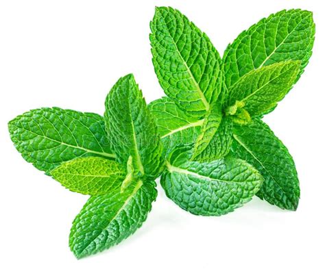 Una piña fresca con hojas de menta y trozos de jengibre, dispuestas de forma atractiva para inspirar la receta.