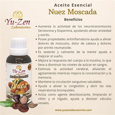 infografía detallando los beneficios del aceite de nuez para la piel: hidratación, antienvejecimiento, antiinflamatorio y protección solar