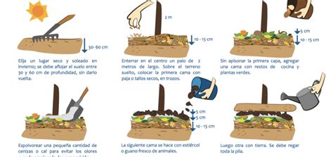 Esquema mostrando la preparación del terreno y la aplicación de abono orgánico.