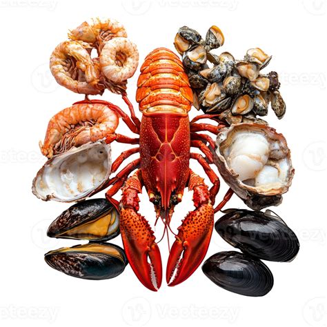 Infografía mostrando la variedad de mariscos frescos de la zona (jaibas, choritos, merluza)