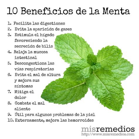 Infografía sobre los beneficios de la menta y el jengibre