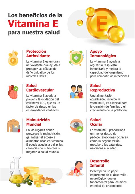 Infografía o esquema sobre los beneficios de la Vitamina E y los minerales en el maquillaje