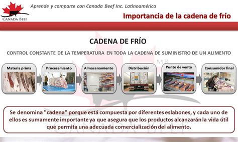 Diagrama: Proceso de congelación del pescado y la importancia de mantener la cadena de frío.