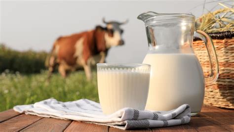 Esquema comparativo entre leche de origen animal y leche de origen vegetal destacando sus diferencias