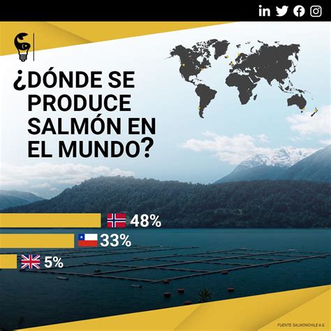 Infografía comparando las tres especies principales de salmón cultivado en Chile