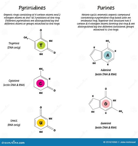Gráfico comparativo del contenido de purinas en diferentes tipos de bebidas alcohólicas