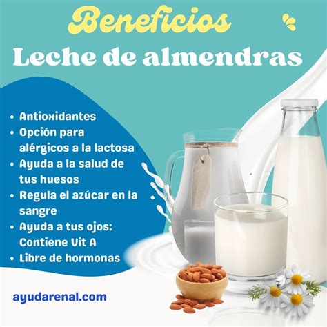 Infografía comparativa de los beneficios de la leche de almendras frente a otras leches vegetales y de vaca.