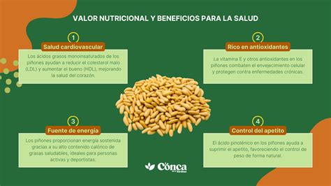 Infografía con la composición nutricional detallada de los piñones, destacando vitaminas, minerales y ácidos grasos.