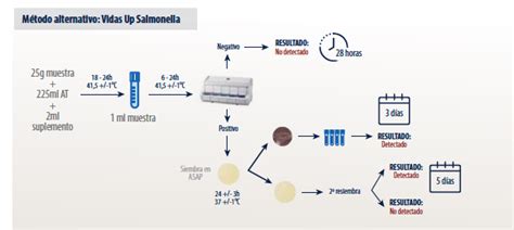 Esquema de flujo para la detección de Salmonella spp. en alimentos.