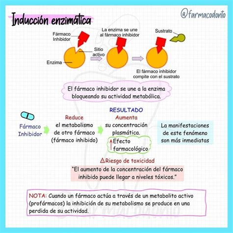 Esquema general de la inducción enzimática y sus efectos en el metabolismo de fármacos