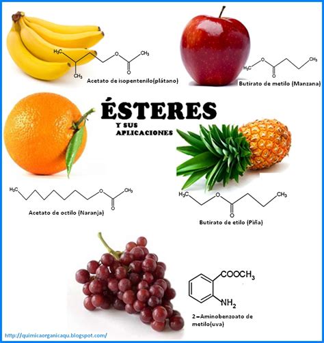 Esquema molecular de ésteres comunes en cerveza y sus aromas asociados.
