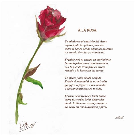 Página ilustrada de 