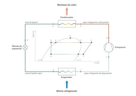 Diagrama de flujo del ciclo de refrigeración de una vitrina, mostrando la interacción entre compresor, condensador, válvula de expansión y evaporador.