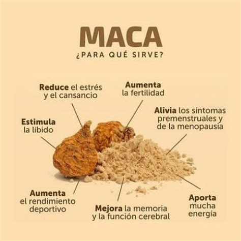 Esquema geográfico del origen y cultivo de la maca en los Andes peruanos