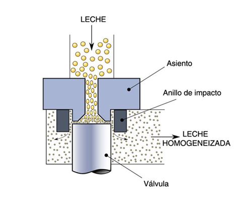 Esquema del proceso de homogeneización de la leche para la producción de yogurt