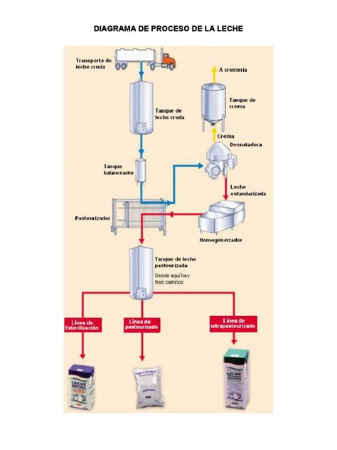 Infografía del proceso industrial del manjar: desde la recepción de la leche hasta el envasado final