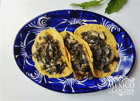 Platillo de huitlacoche tradicional mexicano