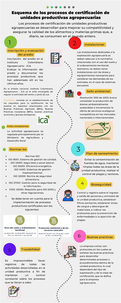 Esquema infográfico del proceso de certificación de jardines infantiles