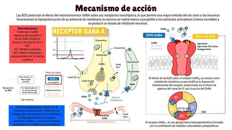 Esquema del mecanismo de acción del Fluralaner en ectoparásitos