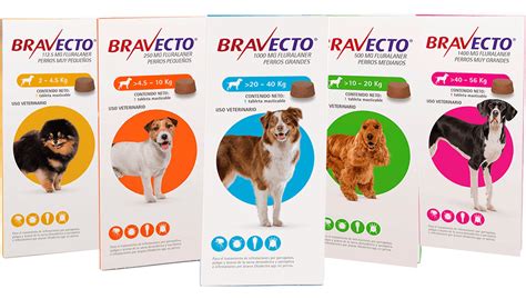 Imagen de un perro tomando un comprimido masticable de Bravecto